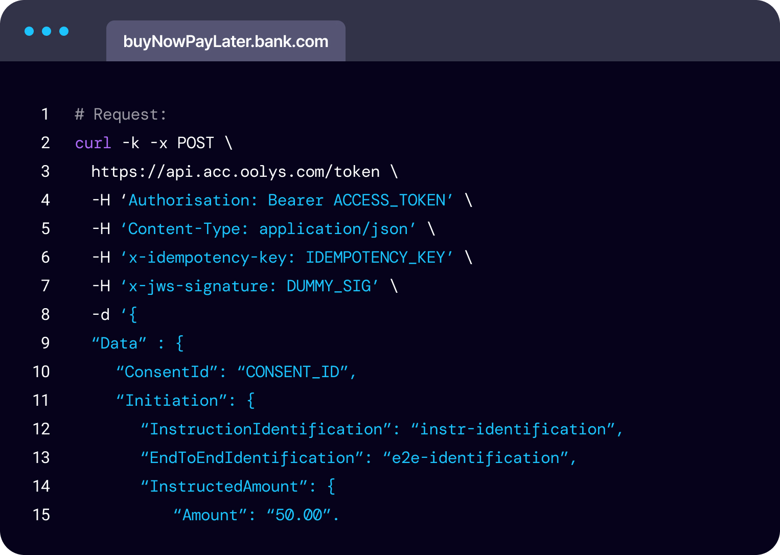 Code snippet demonstrating buy-now-pay-later requests being initiated via an API call